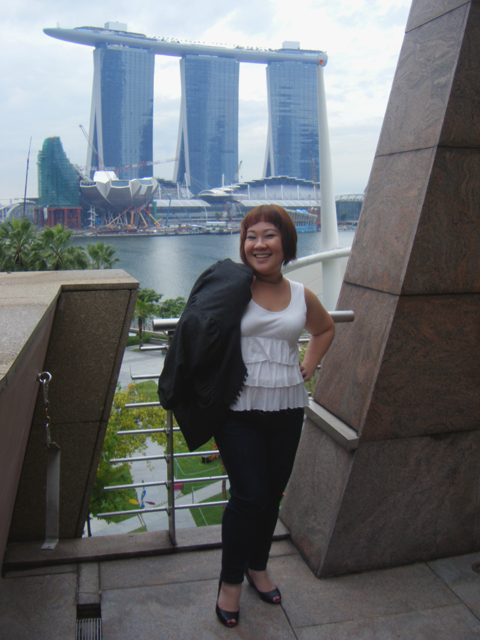 Marina Bay Sands... oh how you grow before our eyes